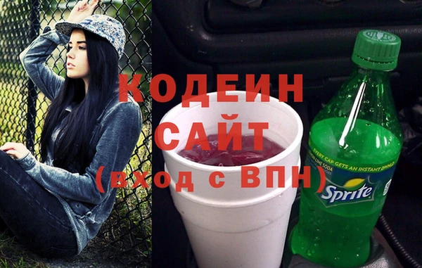 индика Абинск