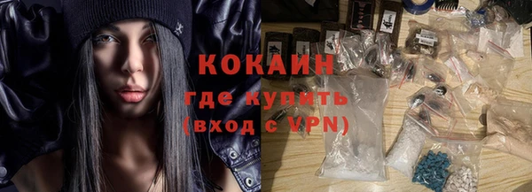 индика Абинск