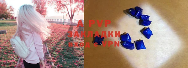 индика Абинск