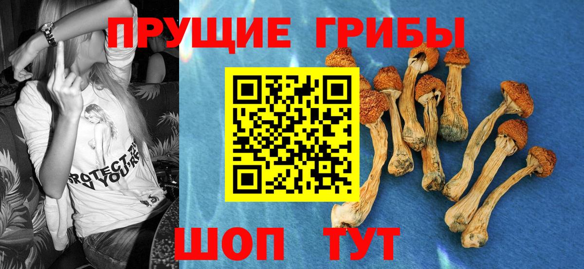 купить  цена  Галлюциногенные грибы MAGIC MUSHROOMS  Вход с VPN  Златоуст 